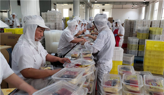 漯河 做強(qiáng)主食產(chǎn)業(yè)，打造完善食品產(chǎn)業(yè)生態(tài)的新坐標(biāo)